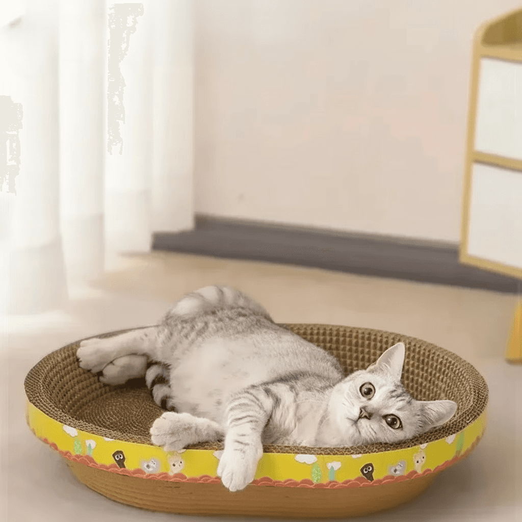 Drapak i legowisko 2w1 dla kota – Komfort i ochrona mebli w jednym 🐾