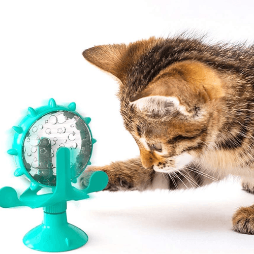 Interaktywna zabawka dla kota z dozownikiem karmy 😺