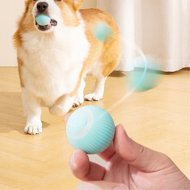 Samobieżna ładowana przez USB piłka dla kota 😺