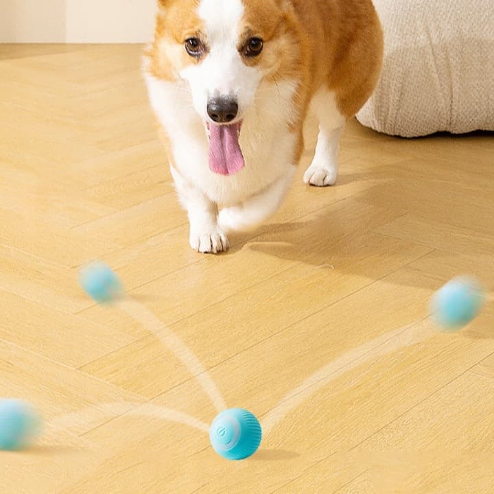 Samobieżna ładowana przez USB piłka dla kota 😺