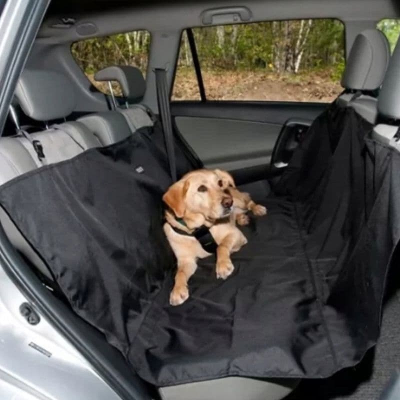 Wodoodporna mata samochodowa dla psa i kota 🐾